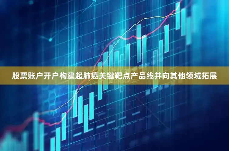 股票账户开户构建起肺癌关键靶点产品线并向其他领域拓展