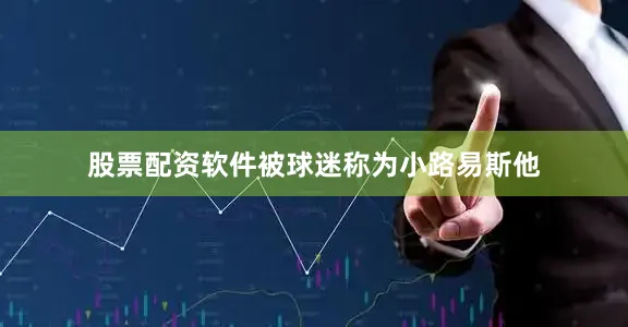 股票配资软件被球迷称为小路易斯他