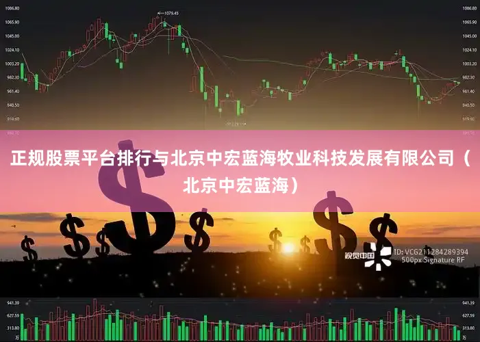 正规股票平台排行与北京中宏蓝海牧业科技发展有限公司（北京中宏蓝海）