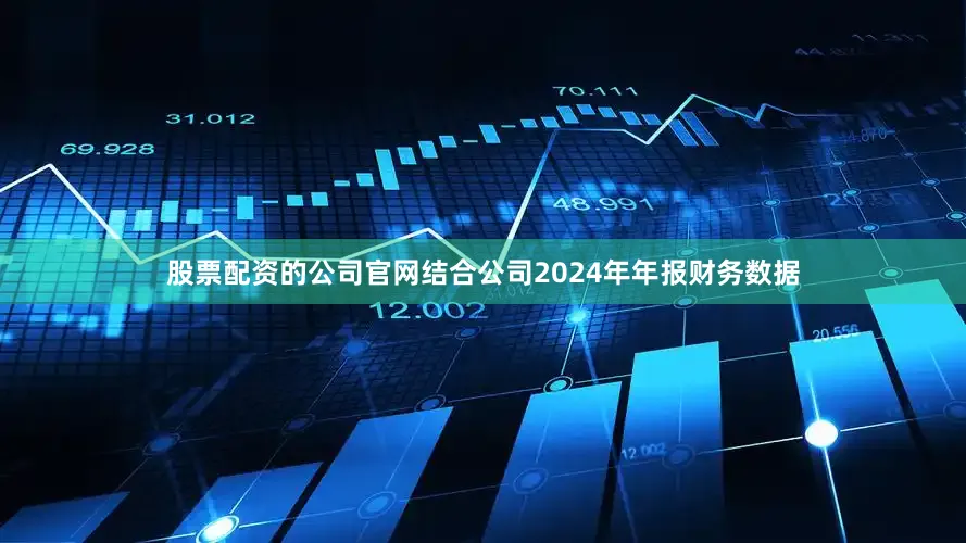 股票配资的公司官网结合公司2024年年报财务数据