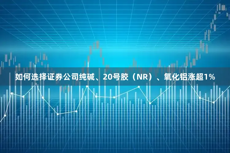 如何选择证券公司纯碱、20号胶（NR）、氧化铝涨超1%