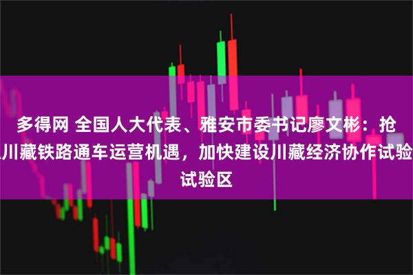 多得网 全国人大代表、雅安市委书记廖文彬：抢抓川藏铁路通车运营机遇，加快建设川藏经济协作试验区